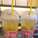 (주)보성다원