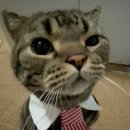 영통스크린골프 이미지