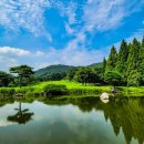 블루헤런G.C 이미지