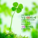 인디유
