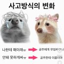 은행나무한방병원 | 2026년 1월 중반에서야 완성한 2025 마지막 일기