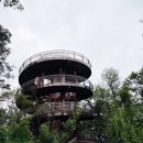 밀양 용두산생태공원 힐링산책로