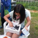 석현농장 이미지