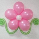 신일초등학교 이미지