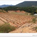 청화농장 이미지