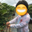 동무농장 이미지