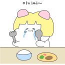 감자이모 이미지
