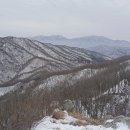 박달봉 Daum카페