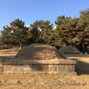 진주 상대동 고분군 이미지