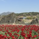 삼봉가 | 단양 도담삼봉 유람선 내돈내산 비추 후기 주차장 소요시간 코스 출항 시간표 가격
