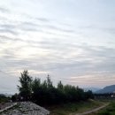 둥지동태탕 검단산점 이미지