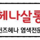 헤나살롱염색 이미지