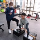 올뉴바디 이미지