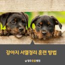 영주동물병원 이미지