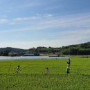 죽청대파니마을 이미지