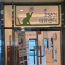 공원옆동물의료센터 | [음성] 충북혁신도시 토이푸들 슬개골 탈구 수술 후기, 그린벨동물의료센터