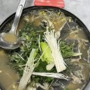 박정은흑염소
