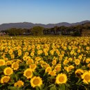 농업회사법인 산들래(주) 이미지