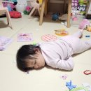 국립부산과학관 노동조합 | 1월 일기 일상(3), 살찌는 겨울, 부산과학관, 창녕곤충나라, 종이접기, 운동, MBTI