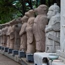 우리나라 태권도 이미지