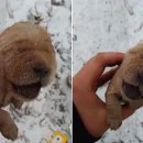 기다리다 이미지