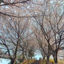 경안근린공원 농구장