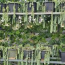 운남농장 이미지