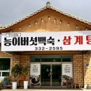 무이806 능이백숙 | 무이806 능이백숙: 평창 백숙 맛집