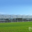효성오앤비(주) 이미지