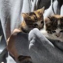 건우약품 이미지