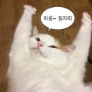솔라농원