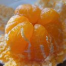 팝콘아이스 이미지