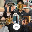어서와 댕댕아 | 우리의 세상이 완전히 바뀌어 버린 어느 날! 어서와 둥둥~🪽