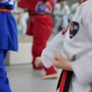 수 태권도 인성교육관 이미지