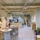 소렐(Sorrel) 이미지