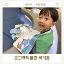 지혜샘도서관 | 송파책박물관 북키움 예약필수 독서의 계절 잠실 가볼만한곳