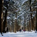 변산반도 사계절펜션 이미지