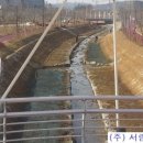 수원-0891 Daum카페