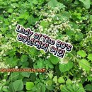 Lady of The 80s Loverboy 커버 연주 이미지