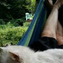 빨강버섯 스머프 이미지