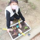 은봉초등학교 이미지