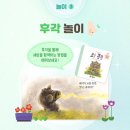 우리 아이 첫 책놀이 이미지