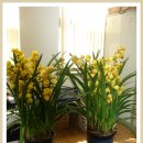 팔달시장 이미지