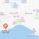 주차44 | 여수 낭만포차 44번 솔직후기 : 주차, 메뉴, 분위기 총정리!