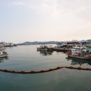 삼천포용궁수산시장 이미지