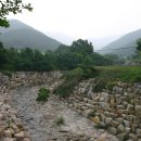 천하대장군 이미지