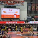 시랑체육관 | 나 다시 배며들어,,, (feat. OK저축은행) | 260204. vs KB손해보험 평일 배구 직관 후기