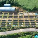 인양양초장 이미지