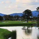 주식회사 레이크우드 이미지