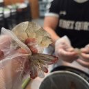 새우까는집 | [잉쀼의하루] 부산 새우 무한리필 동대신동 새우까는집 오픈런 후기